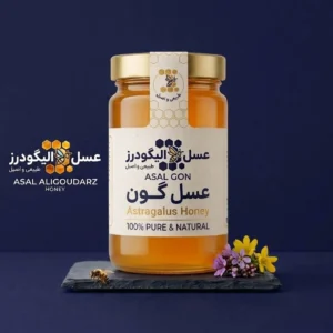 خرید عسل گون | فروشگاه انلاین عسل طبیعی | عسل کوهی الیگودرز